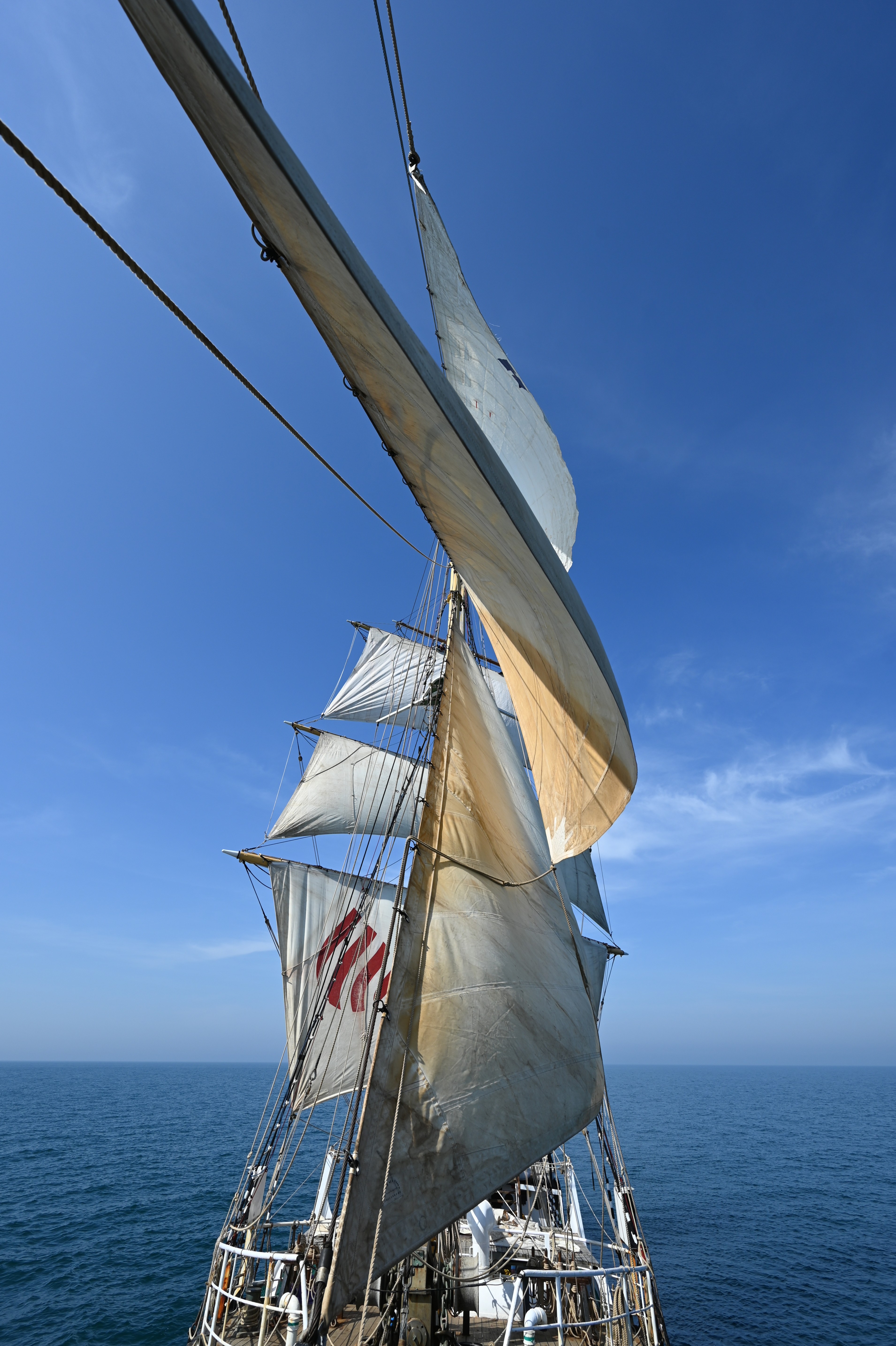 Pelican under Sail
